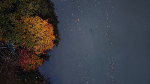 High angle view of trees against sky during autumn