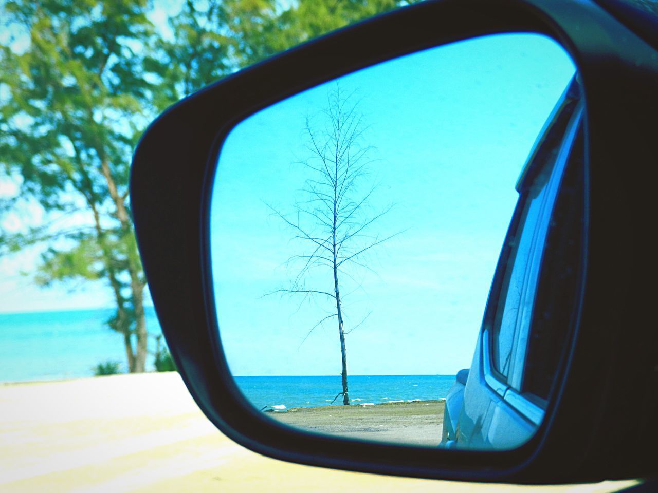 REFLECTION OF TREES ON SIDE-VIEW MIRROR AGAINST SKY