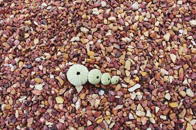 Close-up of pebbles on beach