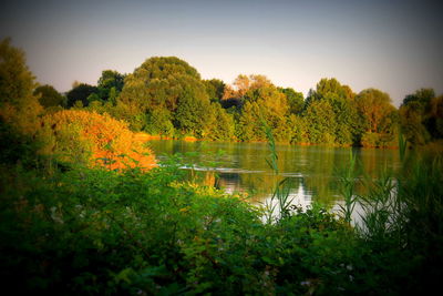 Scenic view of lake by trees against sky