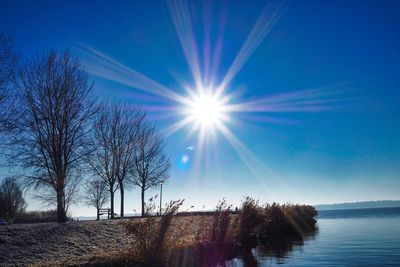 Scenic view of trees against blue sky on sunny day