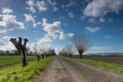 Road amidst trees on field against sky