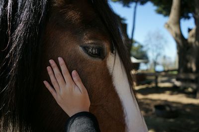 Close-up of cropped woman