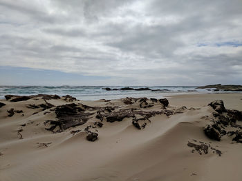 Scenic view of beach against sky