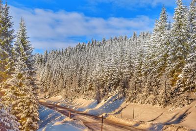 Snow covered landscape against sky