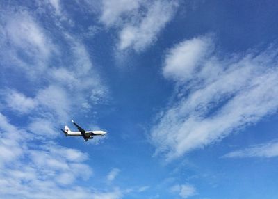 Low angle view of airplane flying in sky