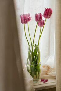 Close-up of flowers in vase on table