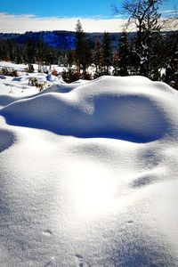 Snow covered landscape