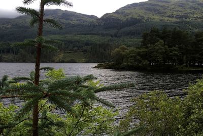 Scenic view of river with mountains in background