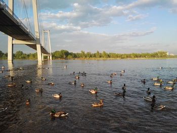 Bridge over river