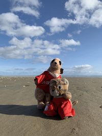 Dog sitting on a sand