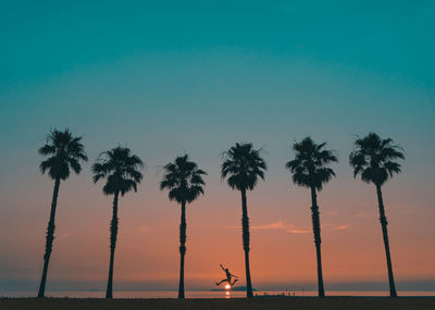 Low angle view of palm trees at beach against sky during sunset