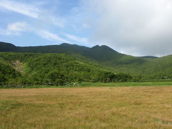 Scenic view of field against sky