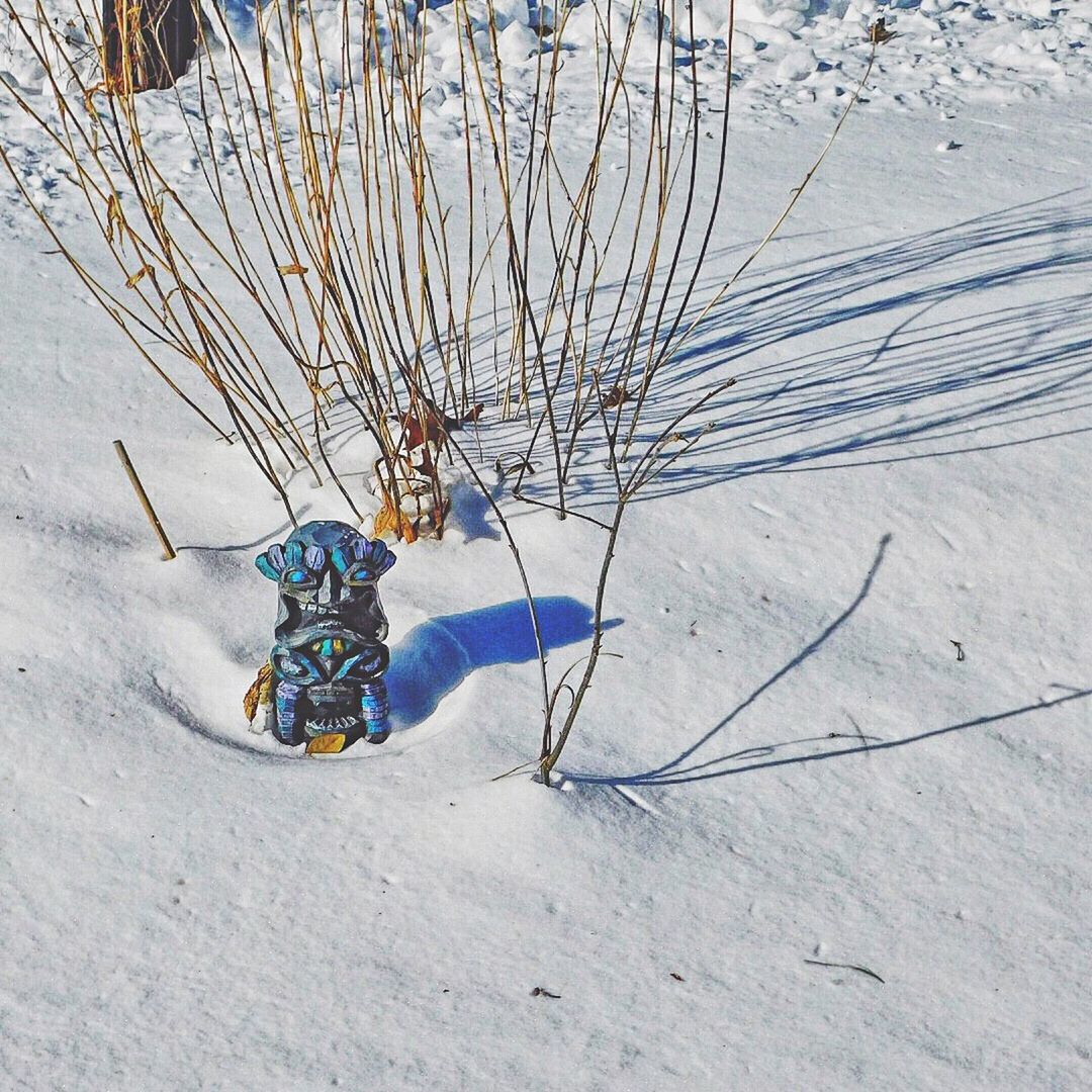 HIGH ANGLE VIEW OF SNOW ON BEACH