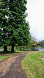 Road amidst trees on field against sky