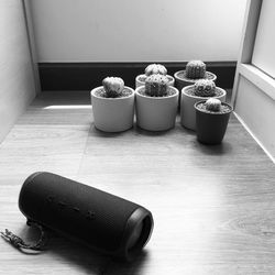 High angle view of potted plant on table at home