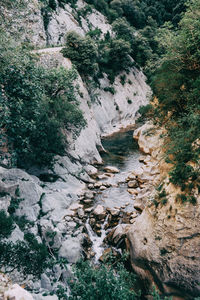 High angle view of stream flowing through rocks in forest
