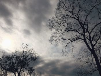 Low angle view of bare trees against cloudy sky