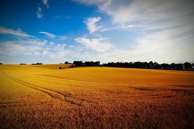 Scenic view of field against cloudy sky