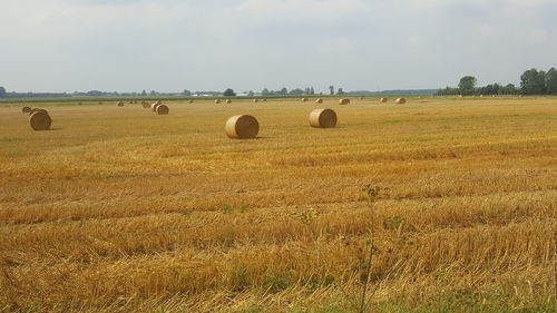 Hay bales on field against sky