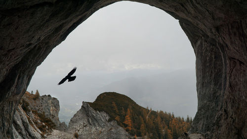 View of bird flying over rock formation