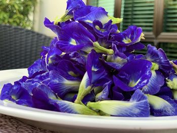 Close-up of purple flowering plant