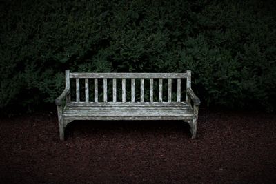 Empty bench in park