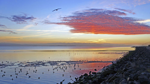 Scenic view of beach at sunset