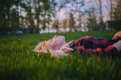 Dog relaxing on grassy field