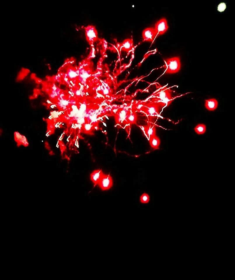 FIREWORKS EXPLODING IN NIGHT SKY