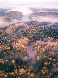 High angle view of trees against sky during sunset