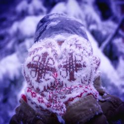 Close up of plant against blurred background