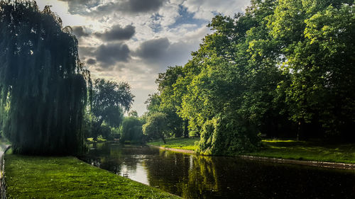 Trees by lake against sky