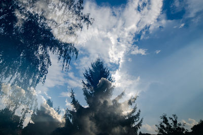 Low angle view of trees against blue sky