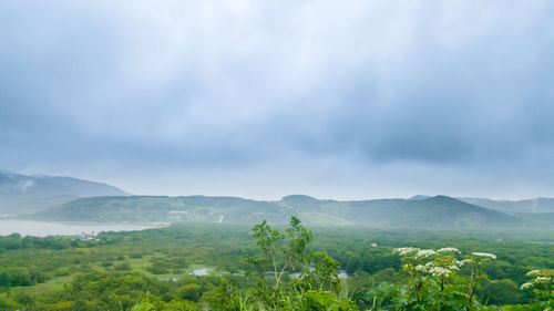 Scenic view of field against sky