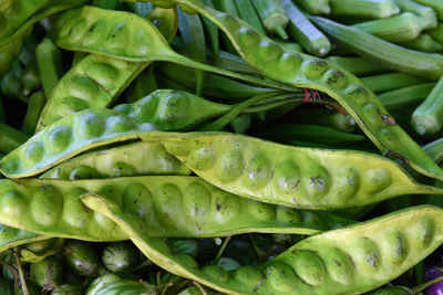 Full frame shot of green vegetables