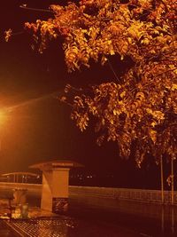 Scenic view of river by trees against sky at night