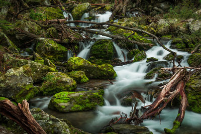 Scenic view of waterfall in forest