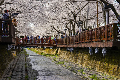 People on footpath by canal in city