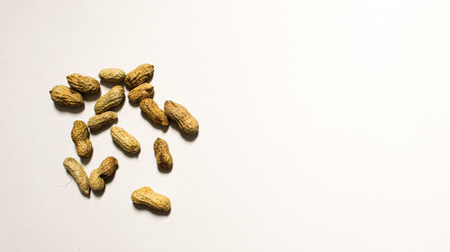 High angle view of food against white background