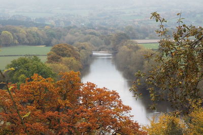 Scenic view of trees against sky during autumn