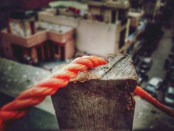 Close-up of rope