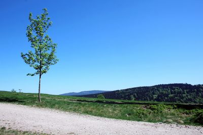 Scenic view of landscape against clear blue sky