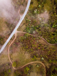 High angle view of road amidst trees