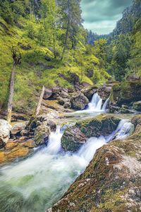 Scenic view of waterfall in forest