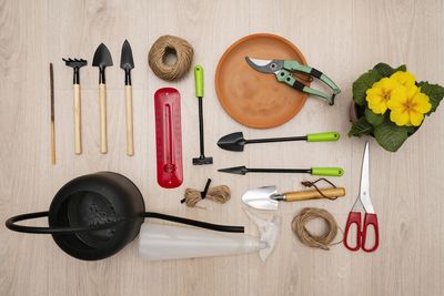Directly above shot of ingredients on table