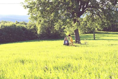 Rear view of woman sitting on field