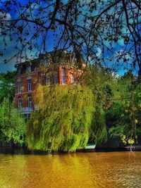 Reflection of trees in river