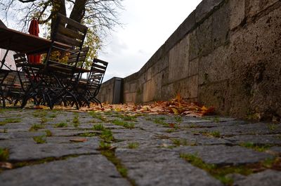 View of brick wall