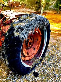 Close-up view of carvings